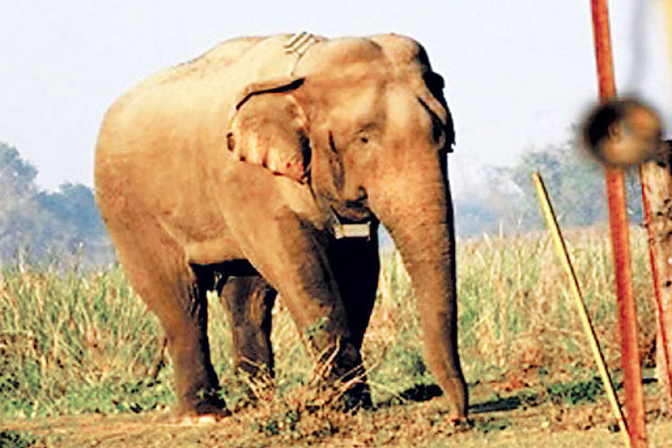 Sajilo Khoj