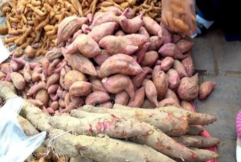 Sajilo Khoj
