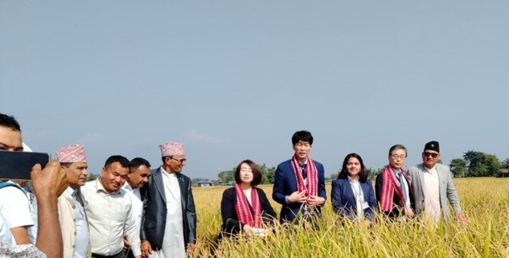 Sajilo Khoj