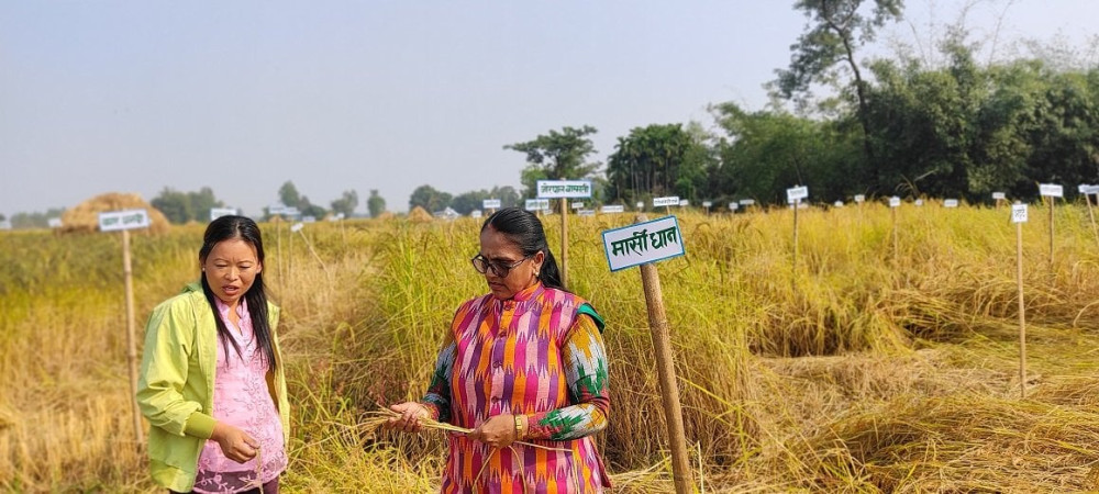 Sajilo Khoj