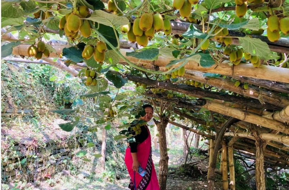 Sajilo Khoj