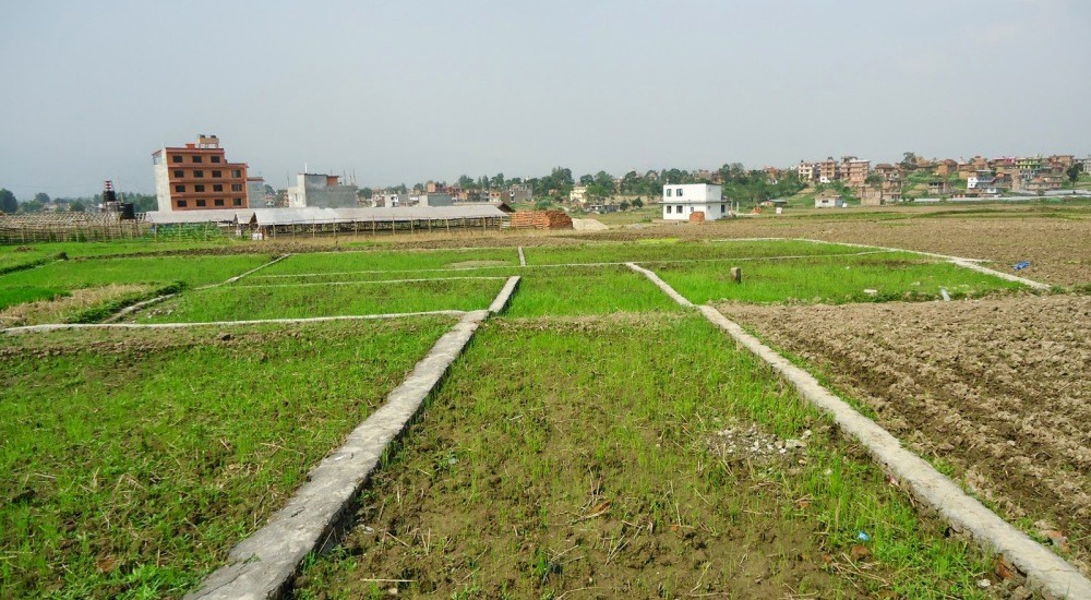 Sajilo Khoj