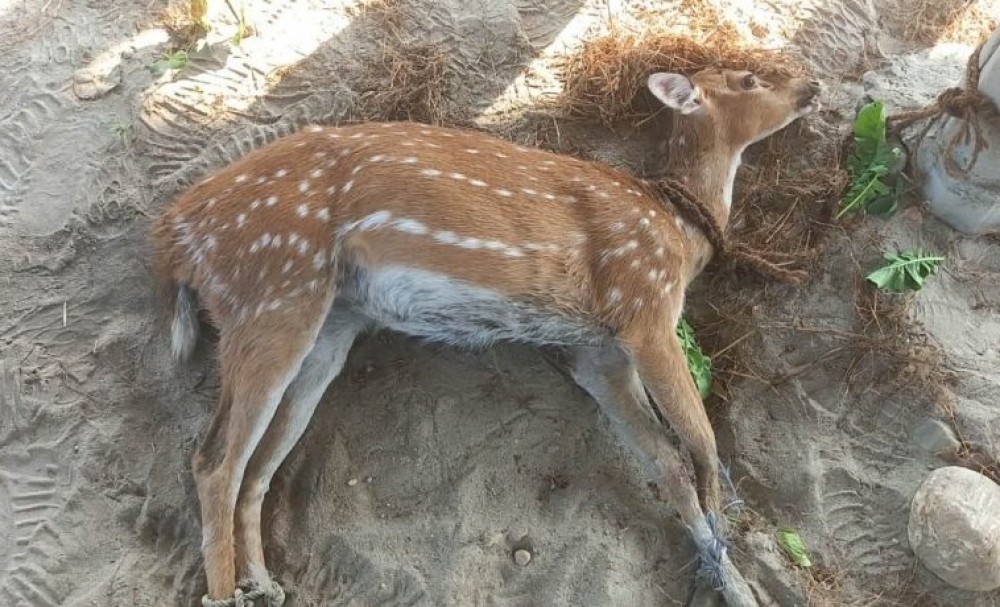 Sajilo Khoj