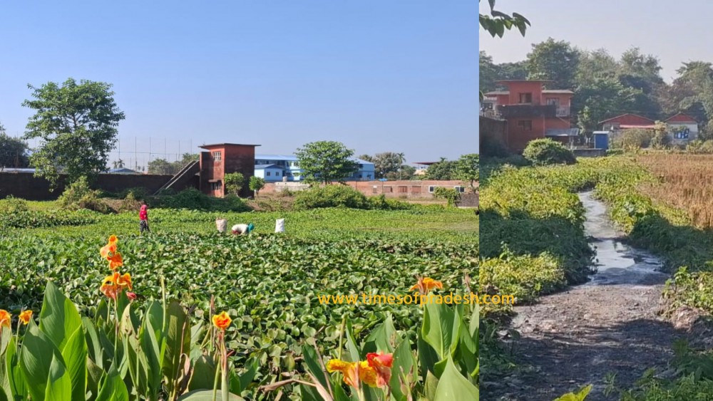 Sajilo Khoj