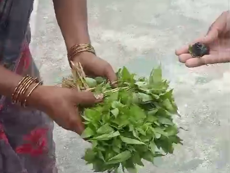 Sajilo Khoj